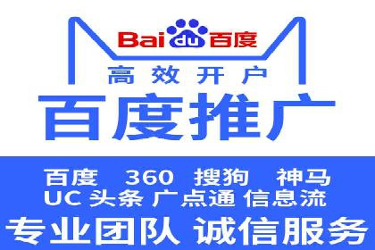 行业领先！专业SEM托管的成功实践案例